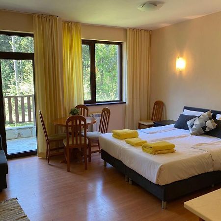 Flora Ski-Slope Studio Apartment Borovets Ngoại thất bức ảnh