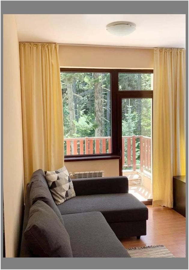 Flora Ski-Slope Studio Apartment Borovets Ngoại thất bức ảnh