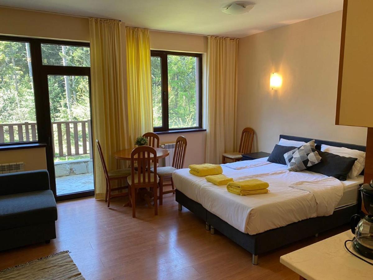 Flora Ski-Slope Studio Apartment Borovets Ngoại thất bức ảnh