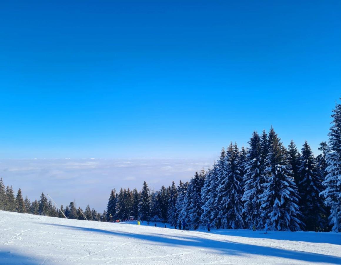 Flora Ski-Slope Studio Apartment Borovets Ngoại thất bức ảnh