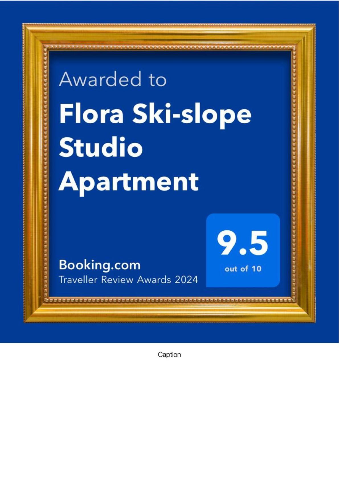 Flora Ski-Slope Studio Apartment Borovets Ngoại thất bức ảnh